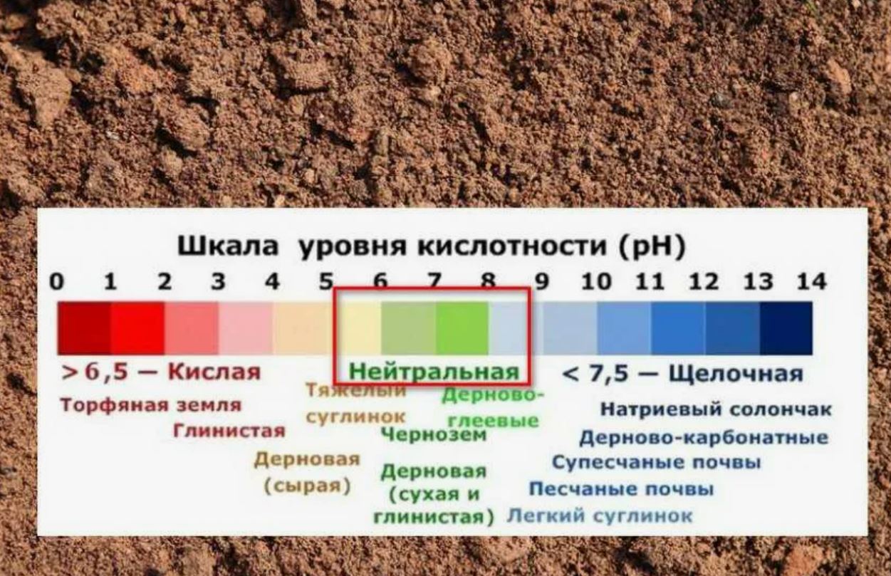 Уровень кислотности почвы